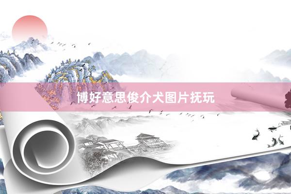 博好意思俊介犬图片抚玩